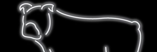JPkik00's profile banner image