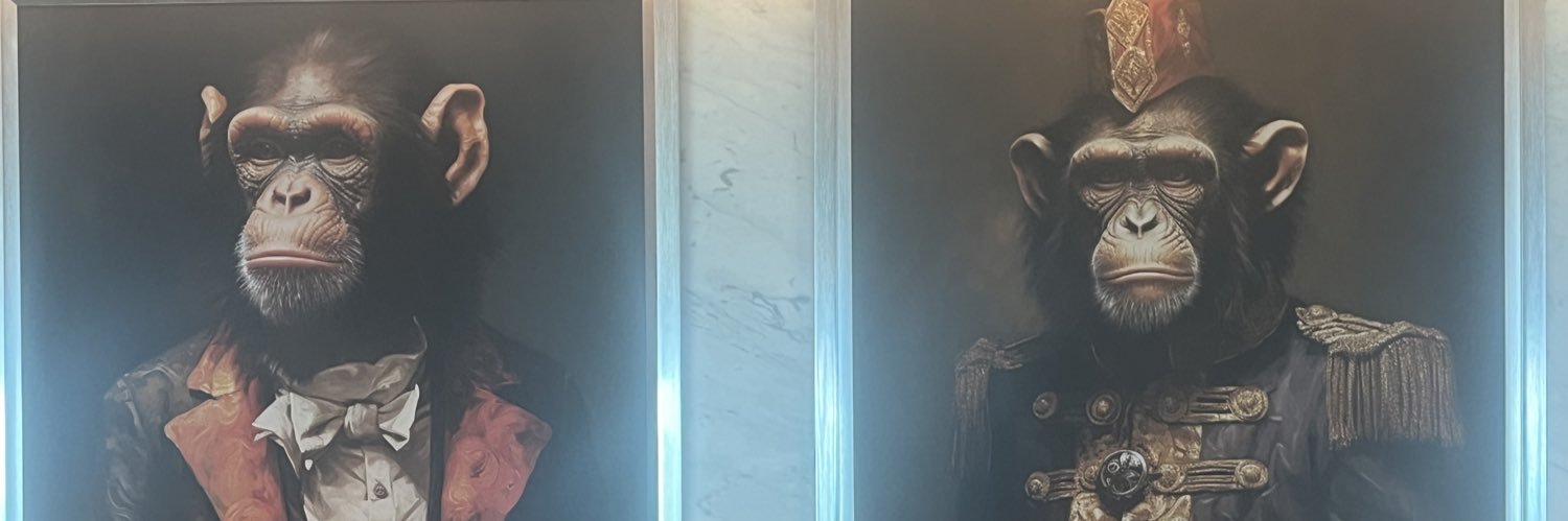 robertoQpolo's profile banner image