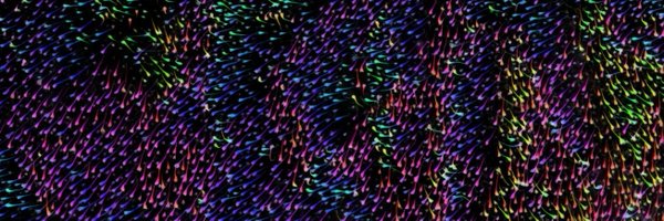 maureencetera Profile Banner