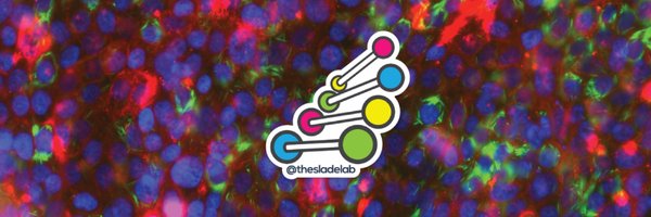 TheSladeLab Profile Banner