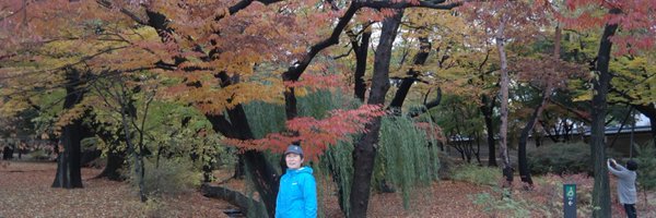 befloras Profile Banner