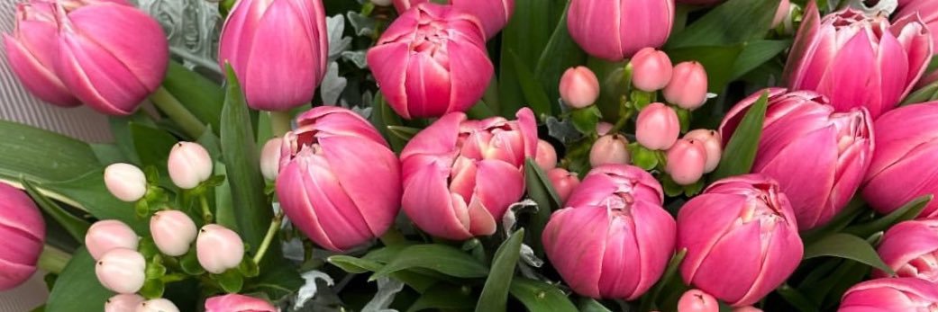 eliteflora's profile banner image