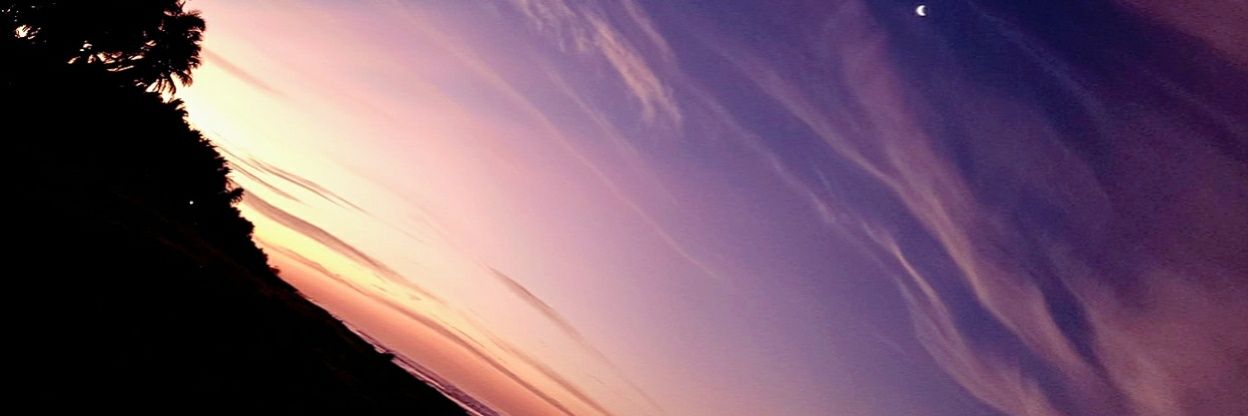 ligiachez's profile banner image