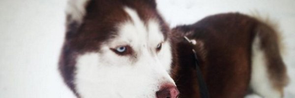 TripleEntryCPA Profile Banner
