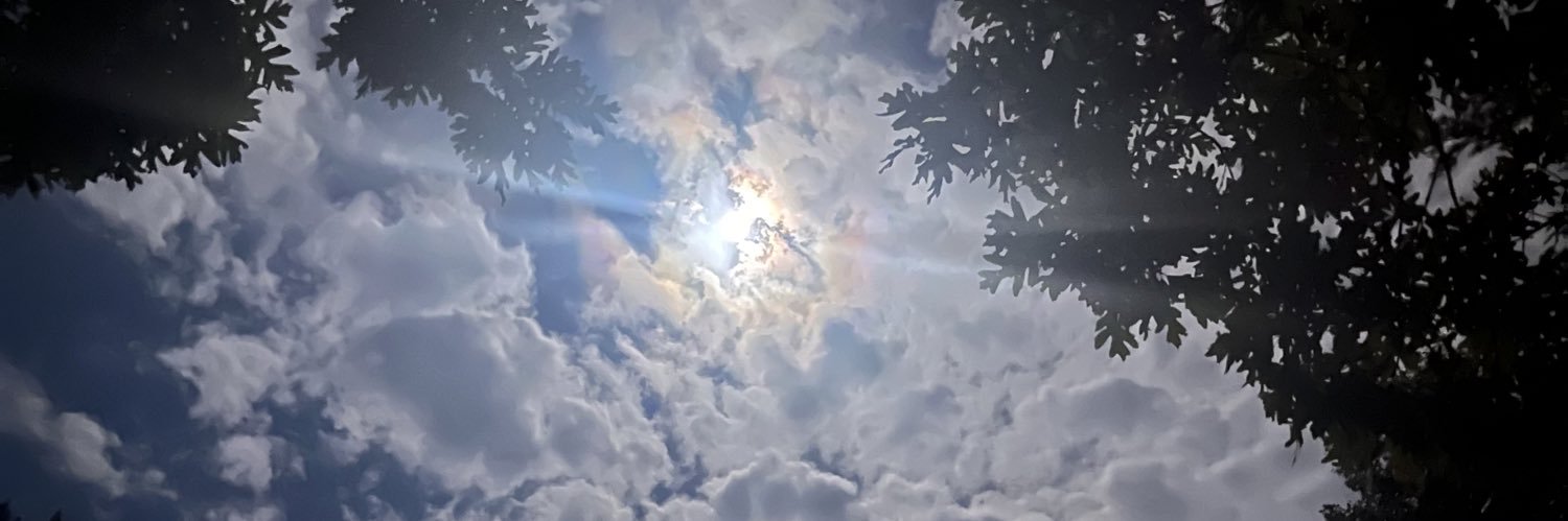 LeroySargent's profile banner image