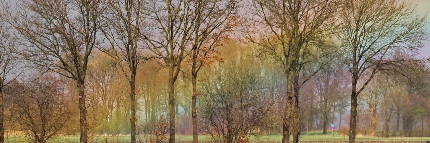 LisaaRo's profile banner image