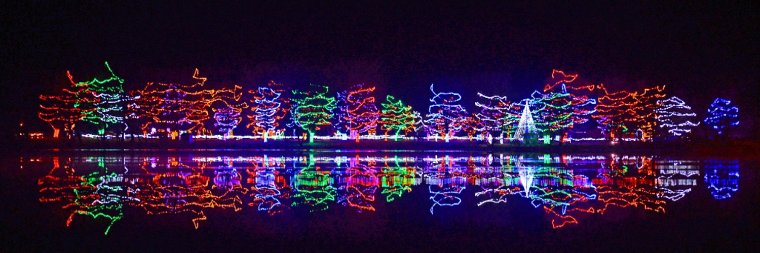 Sleepy Eye Holiday Lights (sleepyeyelights) / Twitter