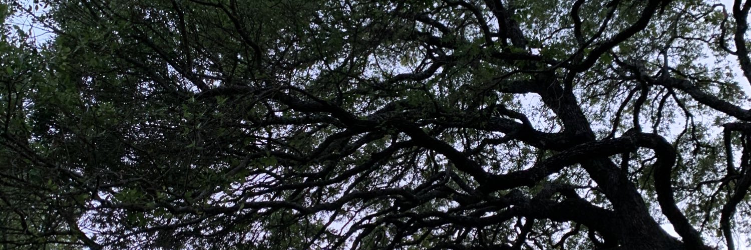 Skyler Rogers banner