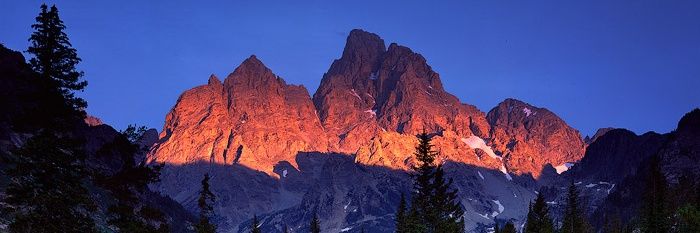 🇺🇲 Bucky Blue banner