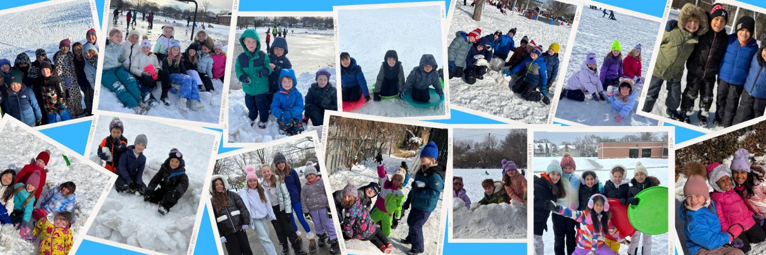 School District 181 banner