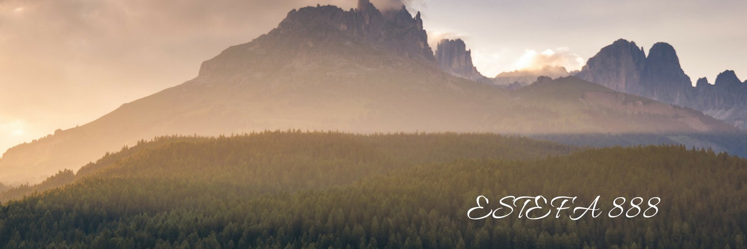 Estefania Gutiérrez banner