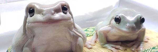 gabuneko21 Profile Banner