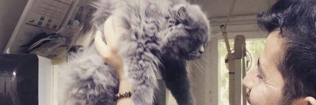 erkantskran's profile banner image