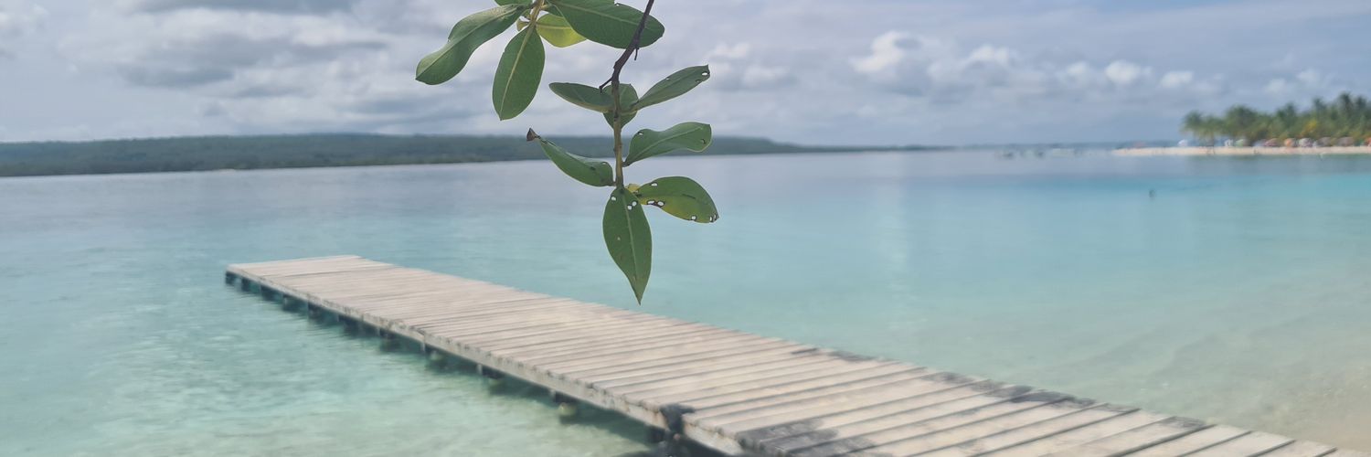 angulargrand's profile banner image