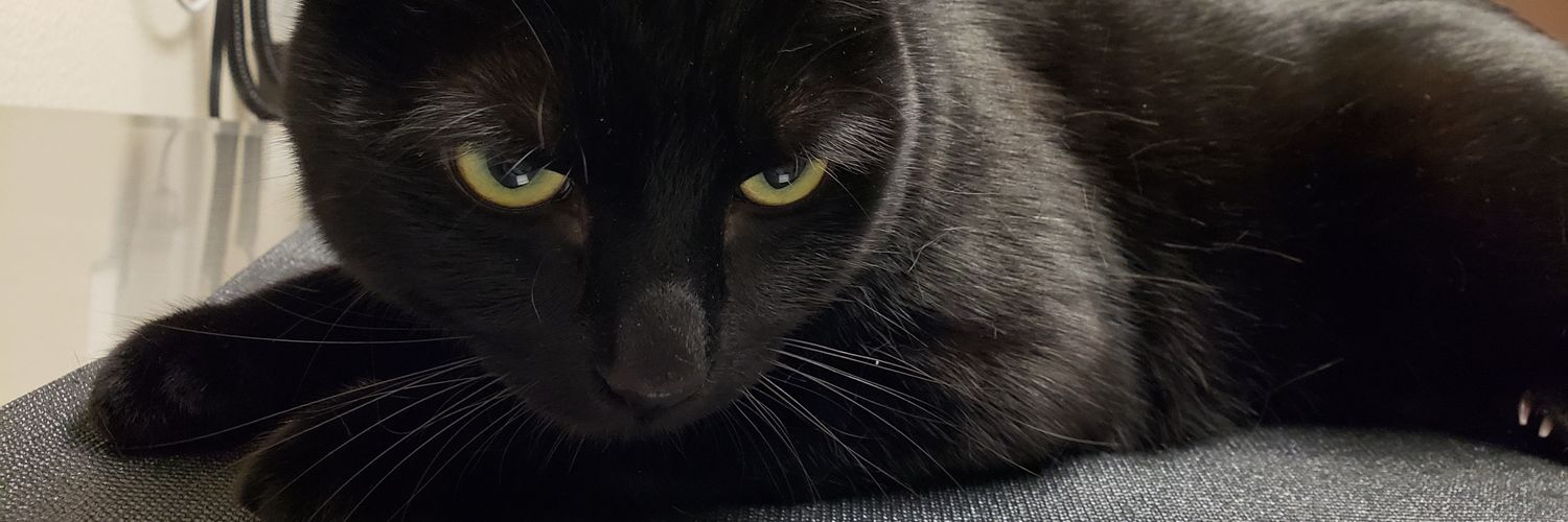 Peachy 🇮🇪 banner