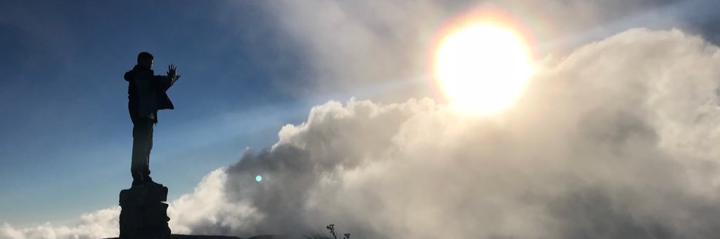 DaniWard's profile banner image