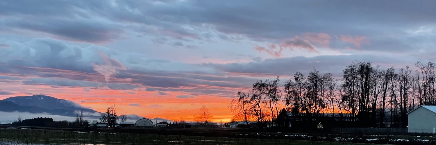 Mitchel Van Muyen banner