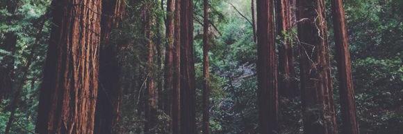 livaaa_'s profile banner image