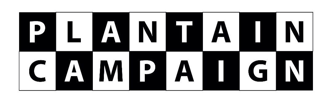 The Plantain Lifestyle banner