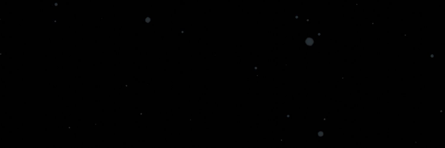 Ripley's banner