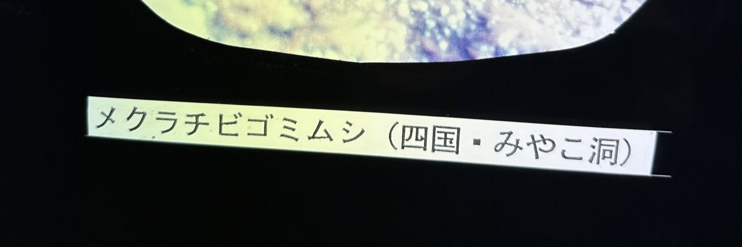 ひとりでできるもん banner