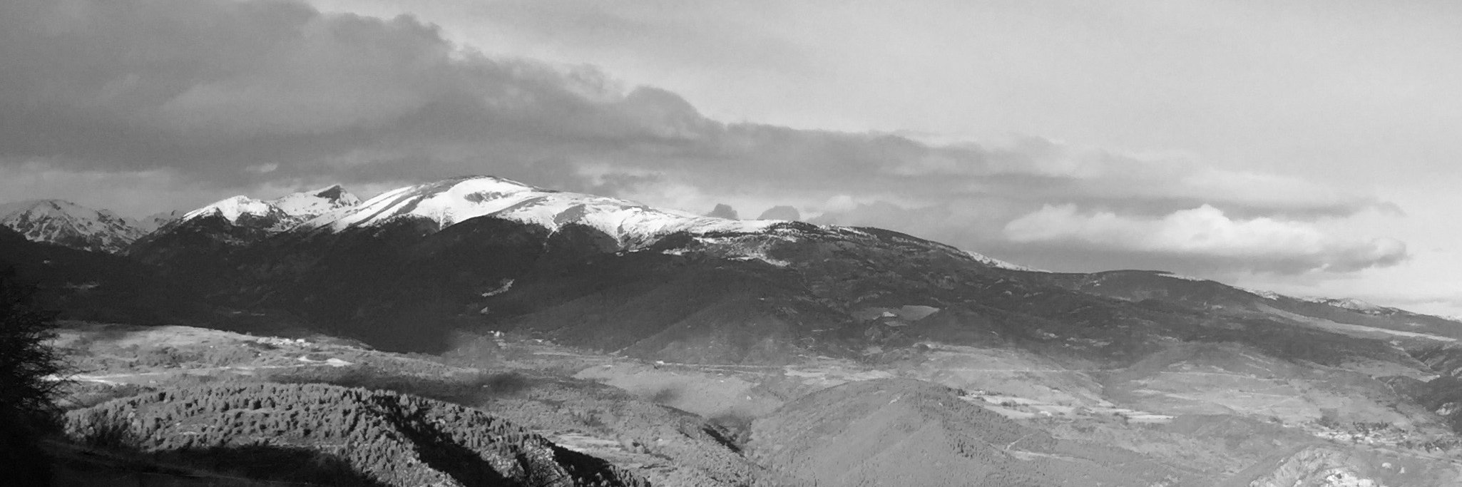 Andreu Carrascal banner