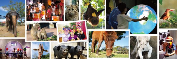 OkinawaZoo Profile Banner