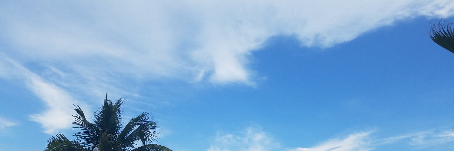 thisOneCollegeDude banner