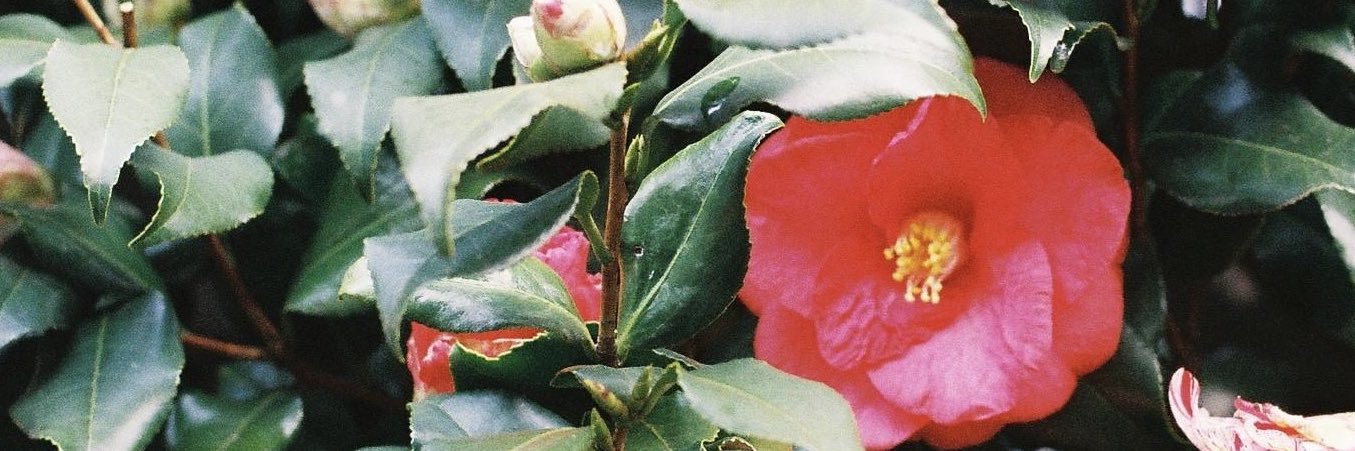 raindrop26's profile banner image