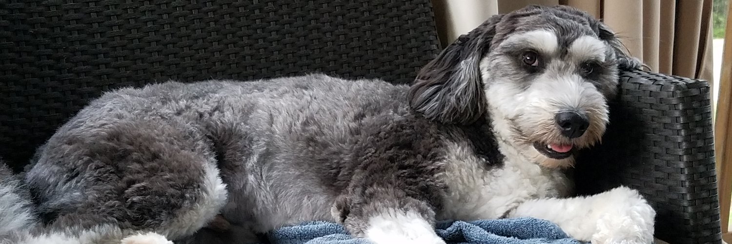 The Carnivore Curmudgeon banner