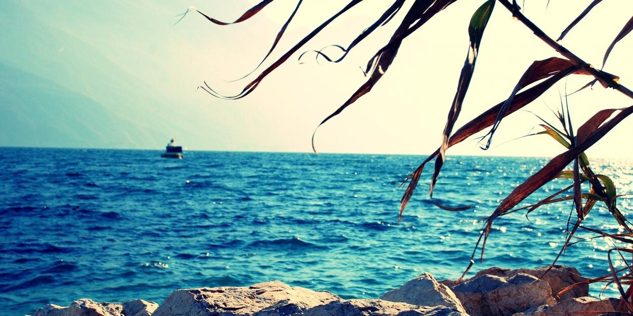 chu_xox's profile banner image