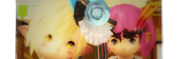 ayamarin's profile banner image