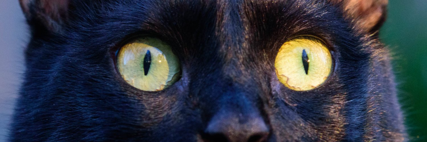 v_wilms's profile banner image