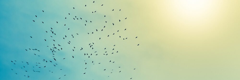 armacm's profile banner image