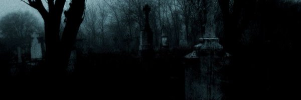 mildbullets Profile Banner