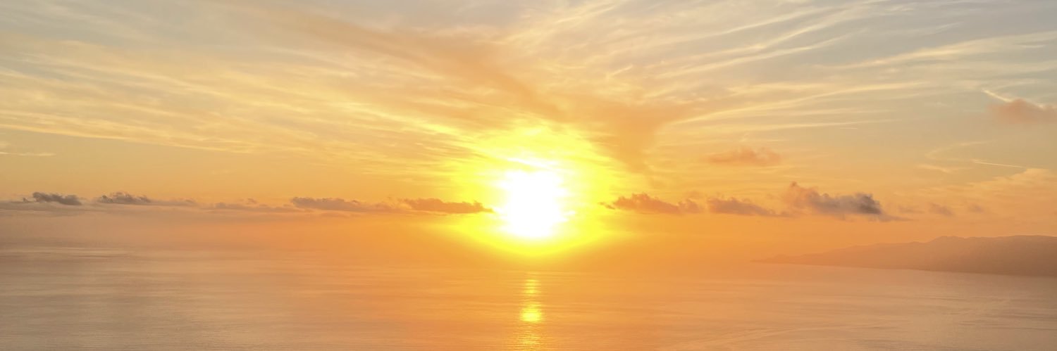 Andrés Santamaría ツ banner