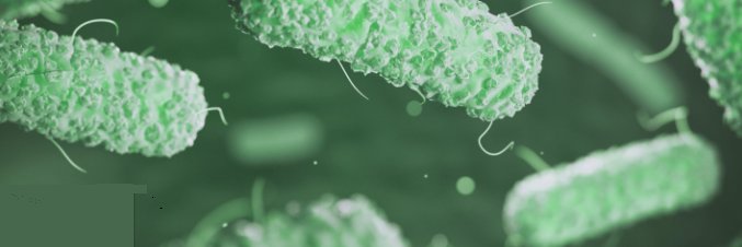 FOLIUM Science banner