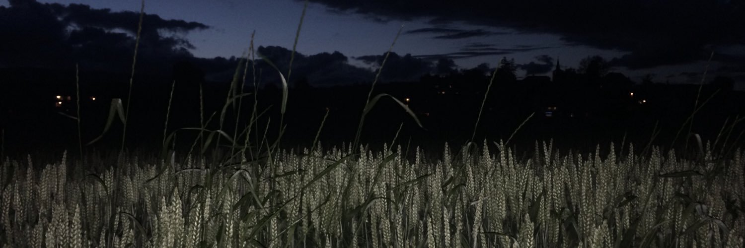 psychocactus_'s profile banner image