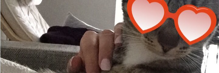 Laedjo's profile banner image