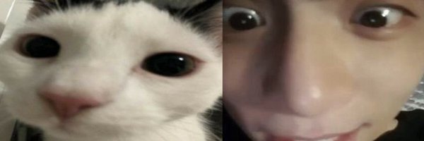 baek4loey Profile Banner