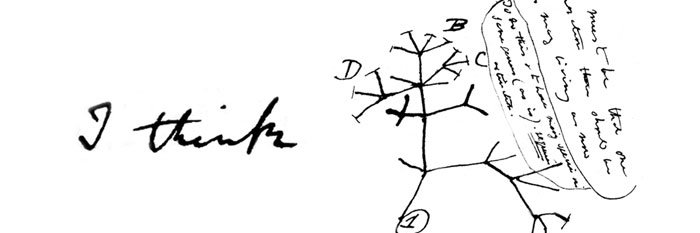 Ahmet Göksu's banner