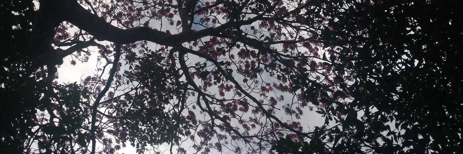 Leriro2's profile banner image