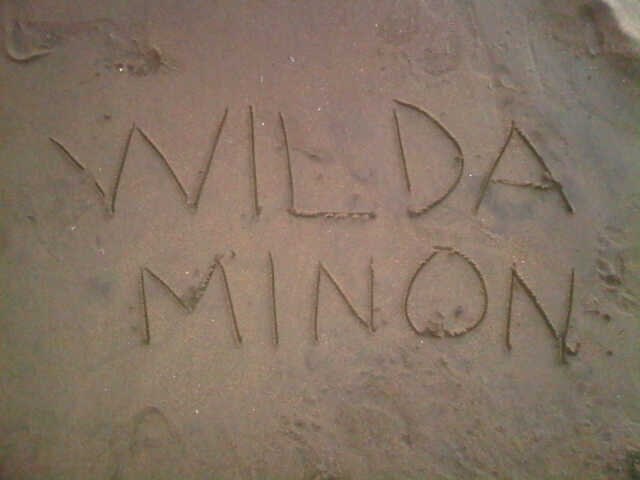 wilda_minon's profile banner image