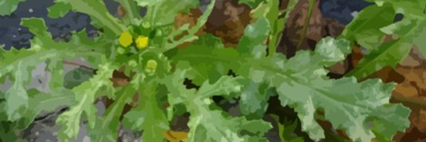 BethanStagg Profile Banner