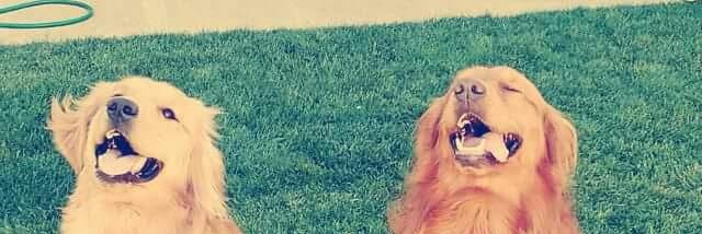 edgartrastamara's profile banner image