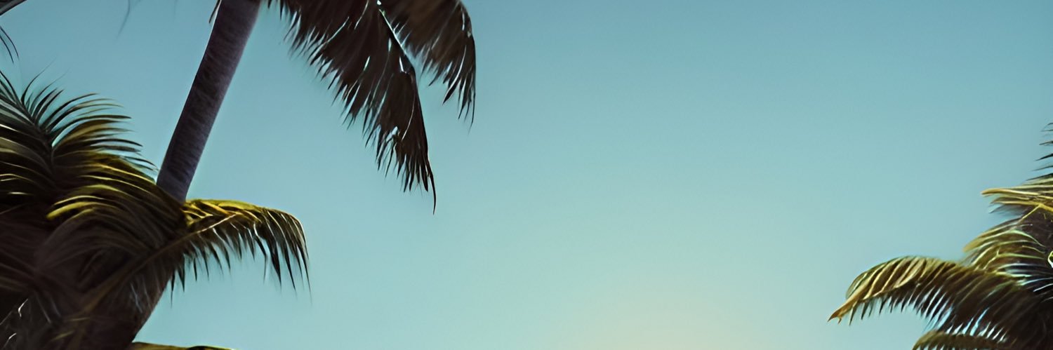 Braxton banner