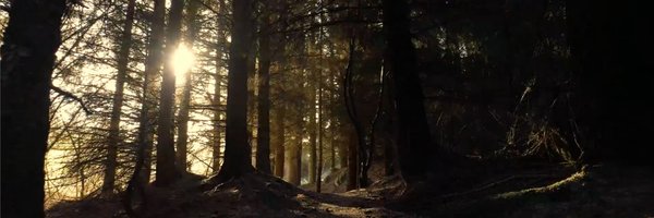 kypowerle Profile Banner