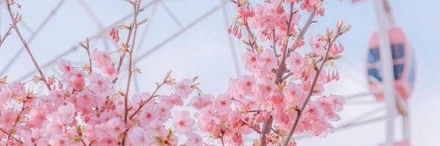 7_heno's profile banner image
