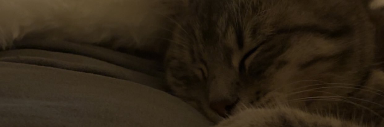 malikadrj10's profile banner image