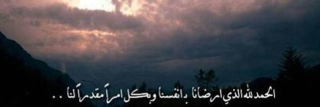 nf122122's profile banner image